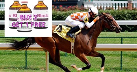 pre race horse supplements.
